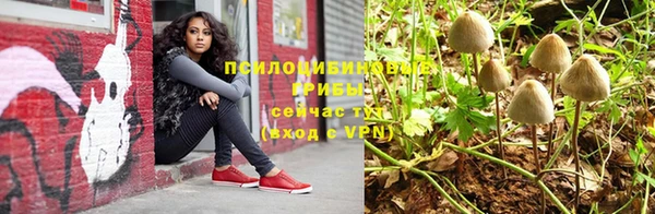 прущие крисы Краснотурьинск