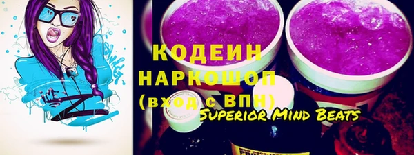 apvp Краснослободск