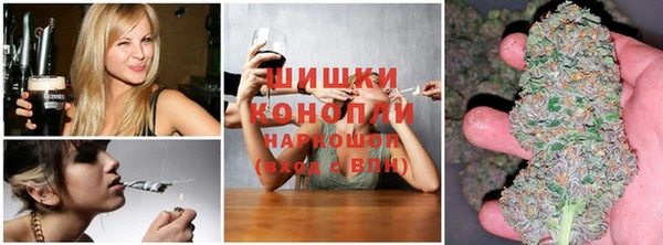apvp Краснослободск