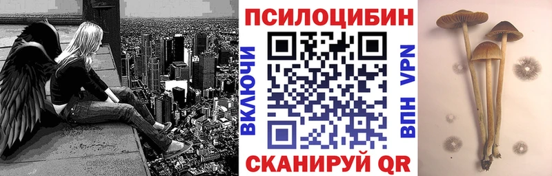 Галлюциногенные грибы Cubensis  Купить где  Мамоново 